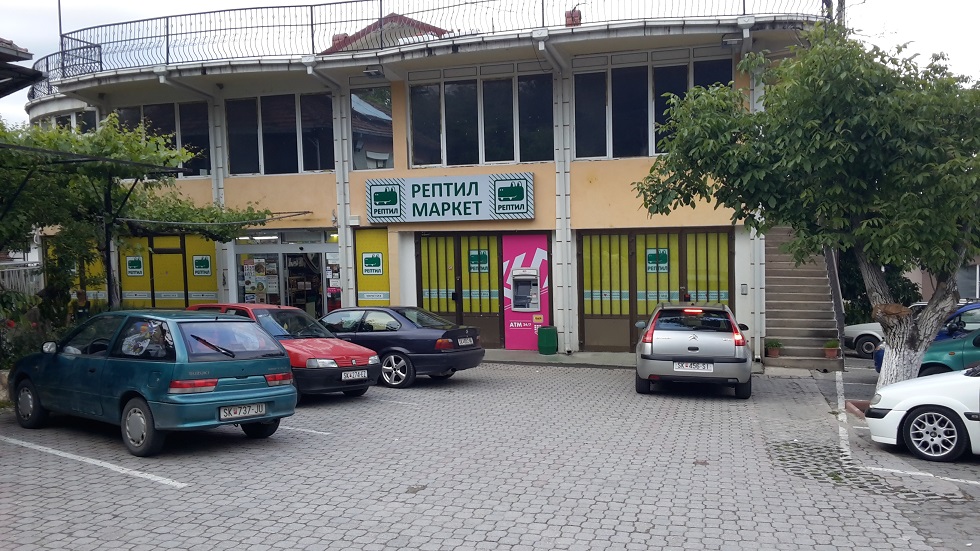 Радишани